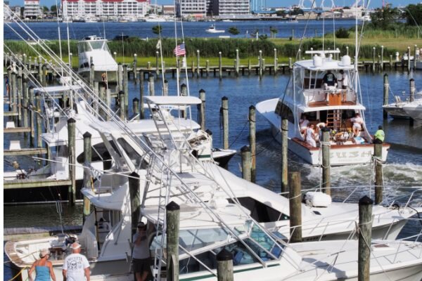 Ocean City Tuna Tournament Weigh-Ins July 12 @ 4:00 pm - 8:30 pm Ocean City Tuna Tournament Weigh-Ins