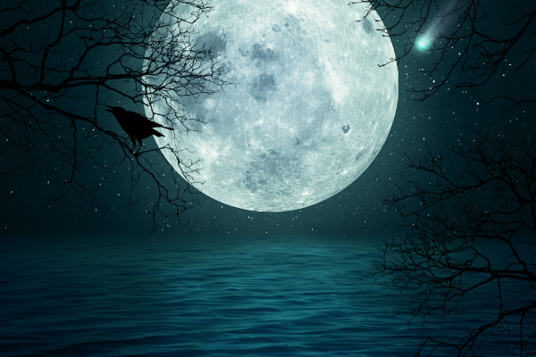 Ocean City Ghost Walk – Inlet Start August 25 @ 8:00 pm - 9:45 pm Ocean City Ghost Walk – Inlet Start