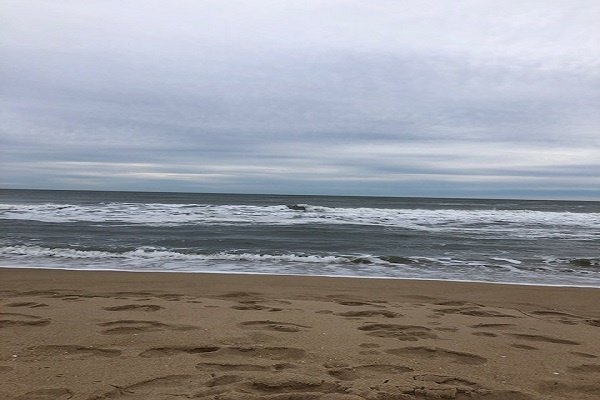 Beach Safety Summer Program July 21 @ 10:00 am - 10:30 am Beach Safety Summer Program