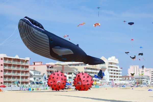 Maryland International Kite Expo