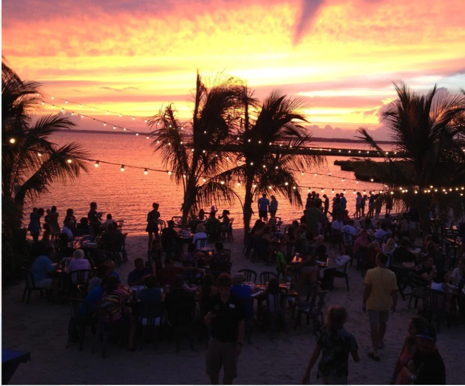 Party Under The Palms | Live Music and DJ’s at Macky’s