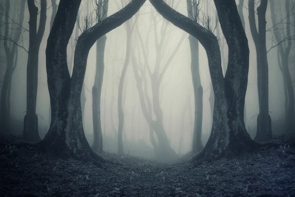 Haunted Island Halloween Party at Fager’s Island